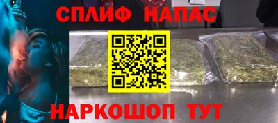 гашик Дубна