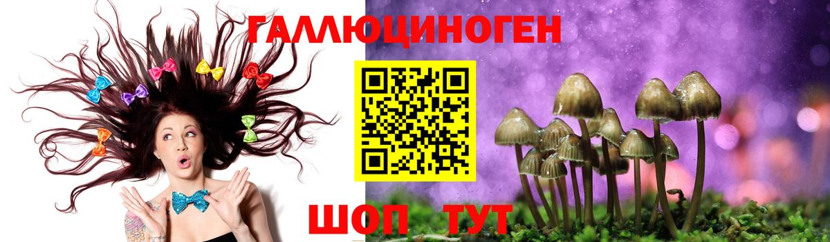 где продают   Галлюциногенные грибы мицелий  Вход с VPN  Псилоцибиновые грибы MAGIC MUSHROOMS  Лосино-Петровский 